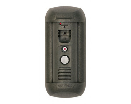 Вызывная панель IP-домофона DS06P (Gray)