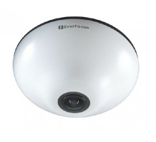 EFN-3320 IP-камера купольная панорамная
