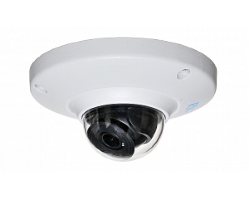 RVi-IPC75 IP-камера корпусная уличная антивандальная
