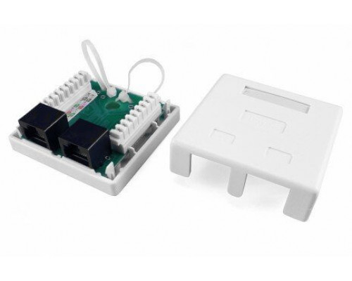 SB1-2-8P8C-C5e-WH Розетка RJ-45