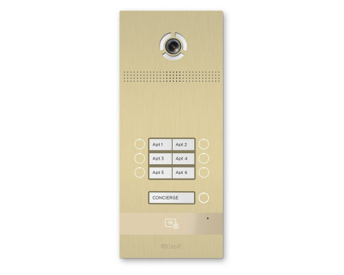 BI-06FB GOLD Вызывная панель IP-домофона