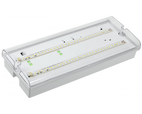 ДПА 5042-1, IP65 (LDPA0-5042-1-65-K01) Светильник аварийный постоянного/непостоянного действия
