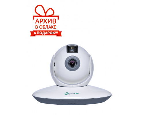 SpaceCam T1 IP-камера корпусная поворотная